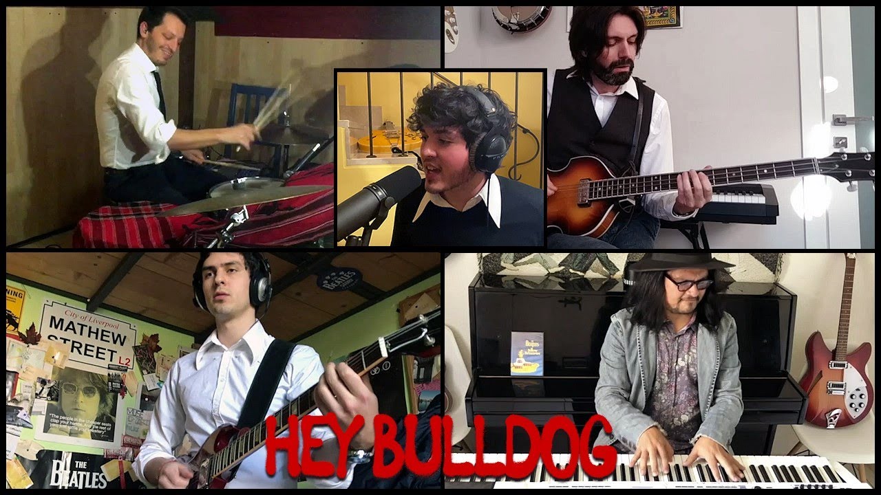 The Beatbox - Quarantine Session - Hey Bulldog