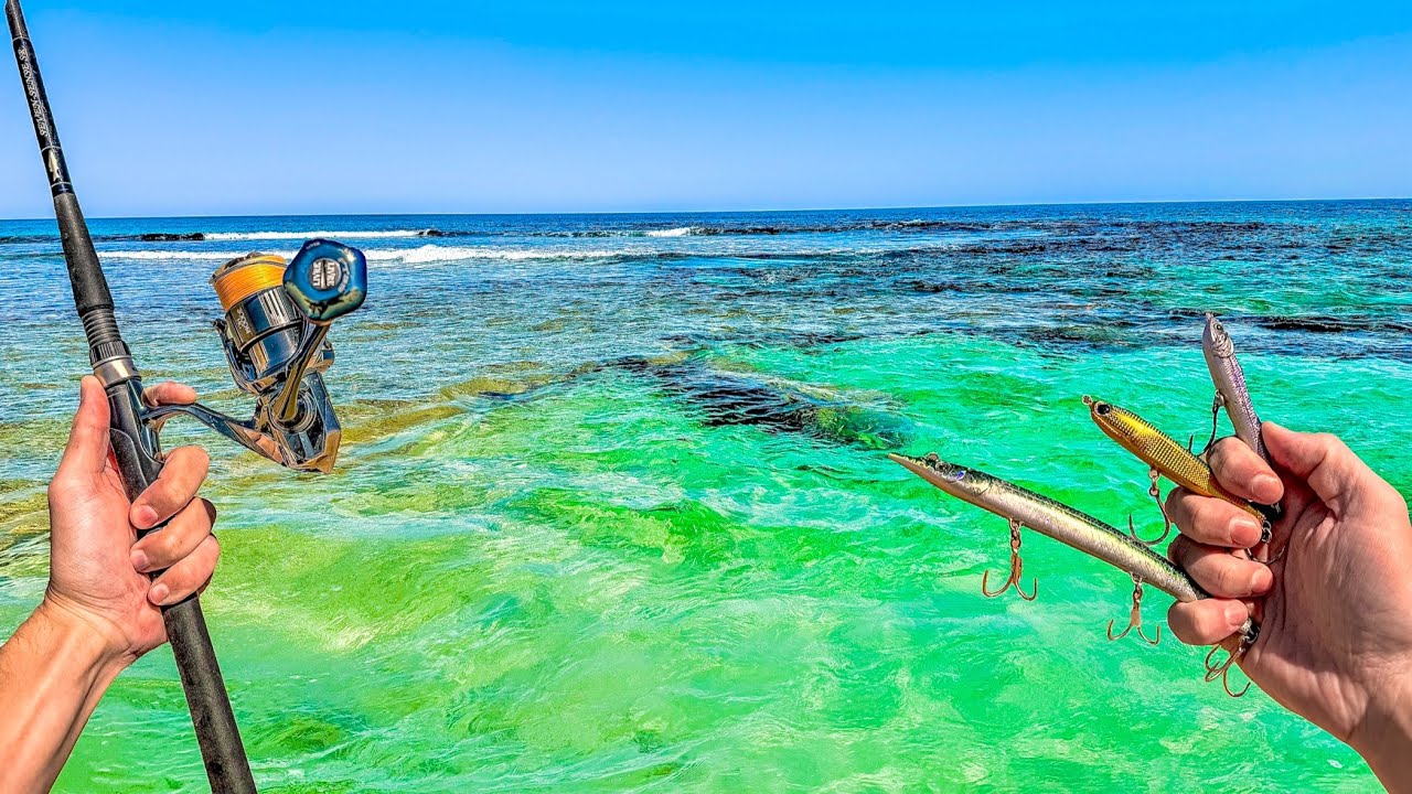 Fishing The Beach w/LURES For Whatever Bites! - Perth Tailor on lures