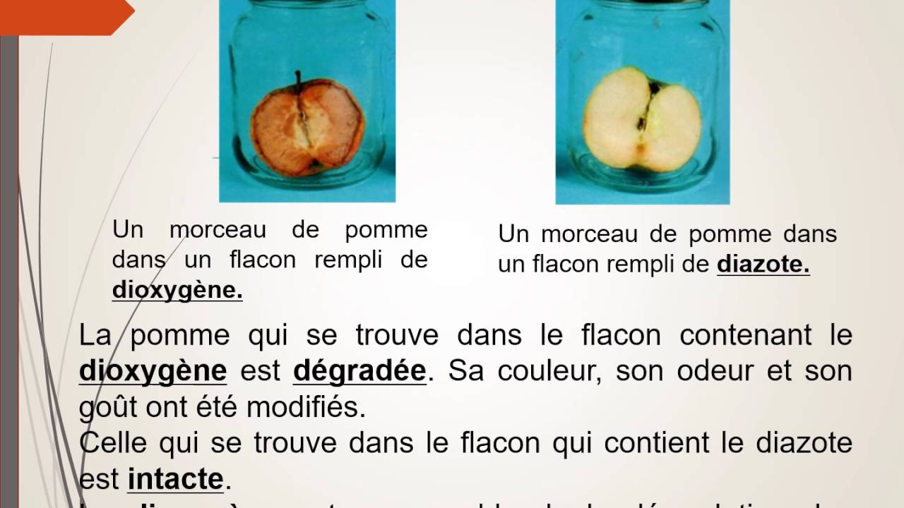 La dégradation des aliments
