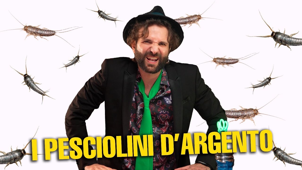 PESCIOLINI D'ARGENTO