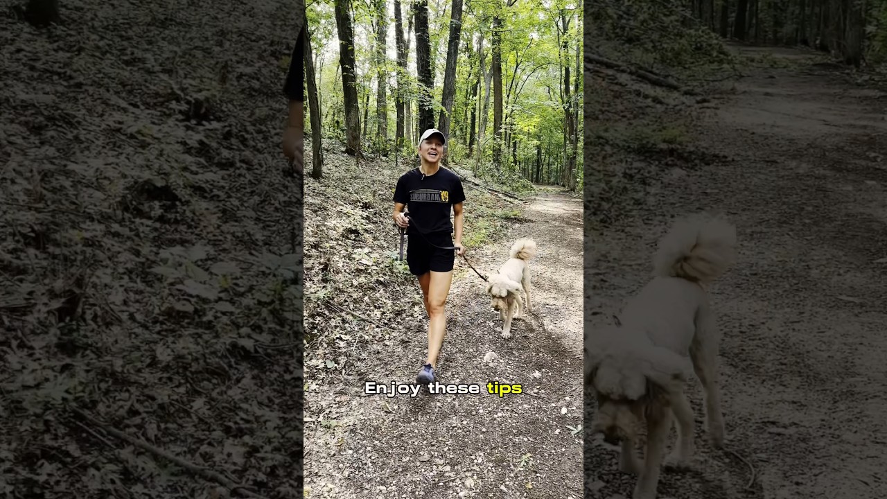 Don&rsquo;t FALL! Running With Your Dog! #dogtraining #dogtrainer #dogtrainingtips