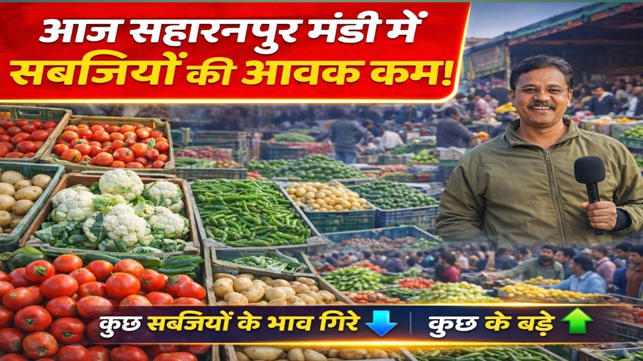 सहारनपुर मंडी में सब्जियों की आवक कम | मंडी में मंडा छाया, कुछ सब्जियों के भाव गिरे तो कुछ चढ़े