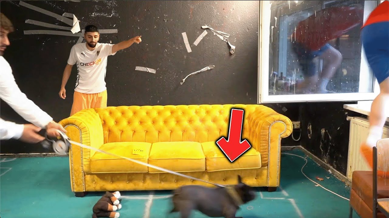 HUNDE PRANK an JORDAN (Jordan springt aus Fenster)