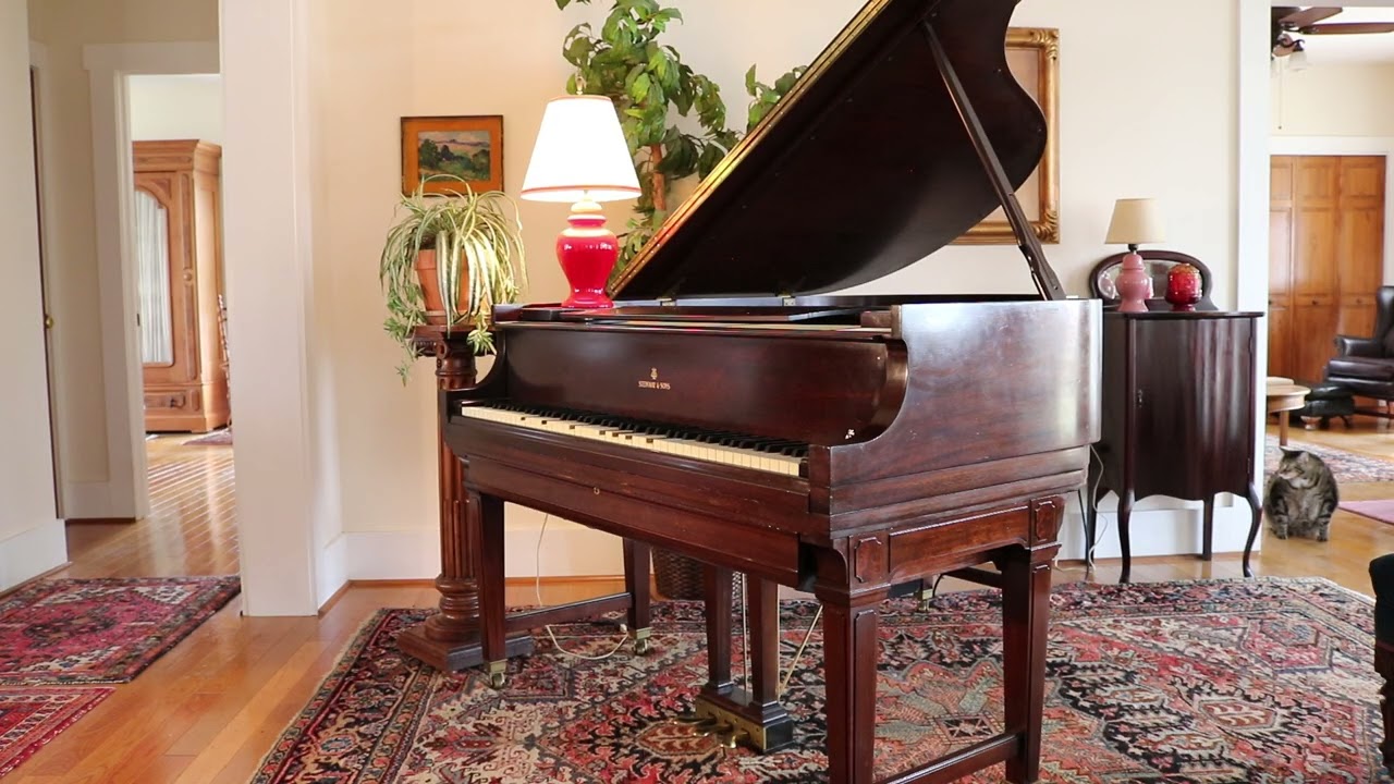 Popular Hits Of The Day -