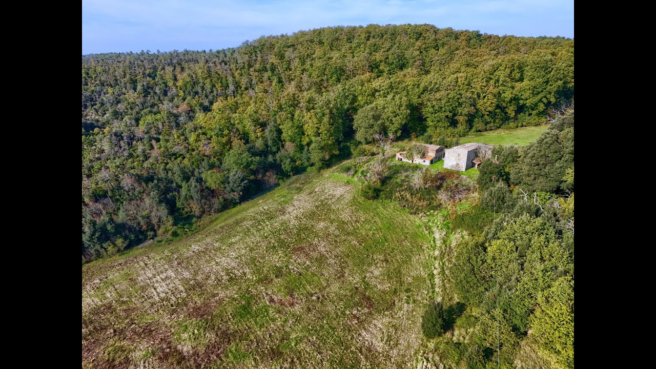 REF.600 Tuscany Property for Sale | 20 Hectares + 2 Farmhouses to Renovate with Volterra View