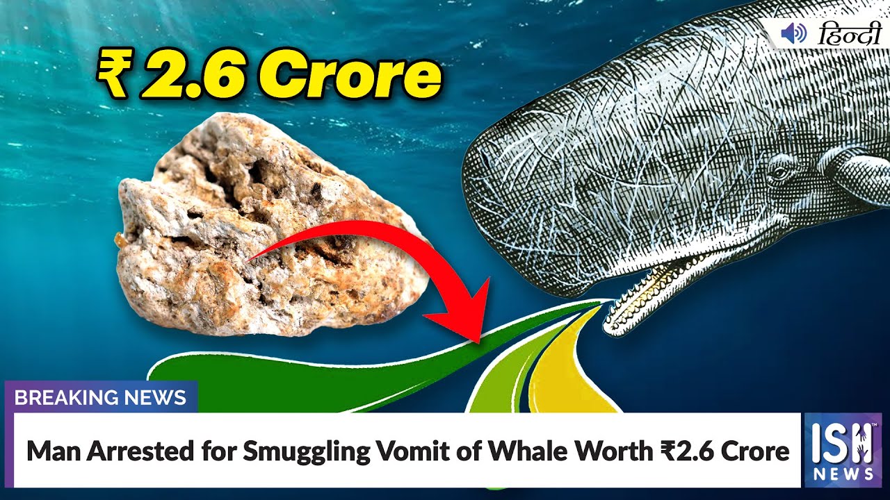 Man Arrested for Smuggling Vomit of Whale Worth 2.6 Crore | ISH News