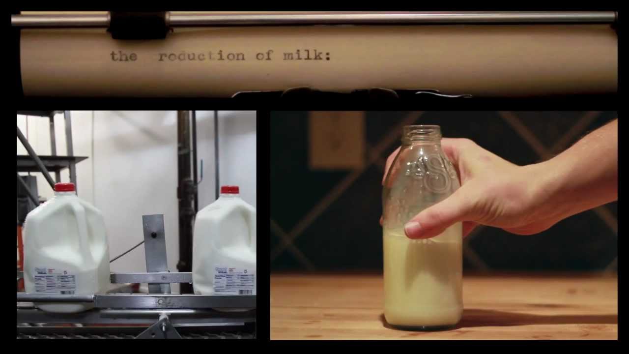 Milk: From Cow to Consumer