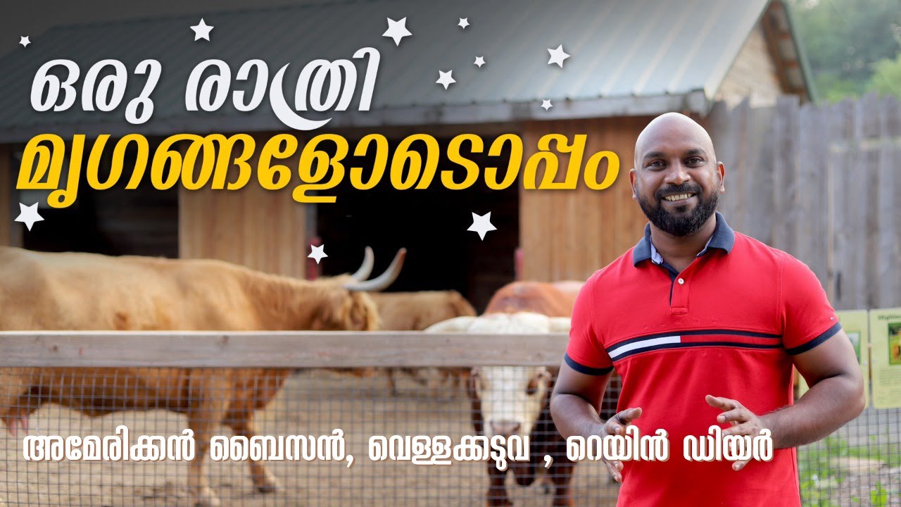 അമേരിക്കയിലെ കാഴ്ച്ചബംഗ്ലാവിൽ താമസിച്ചപ്പോൾ.One day stay in an American Zoo - Malayalam Vlog.