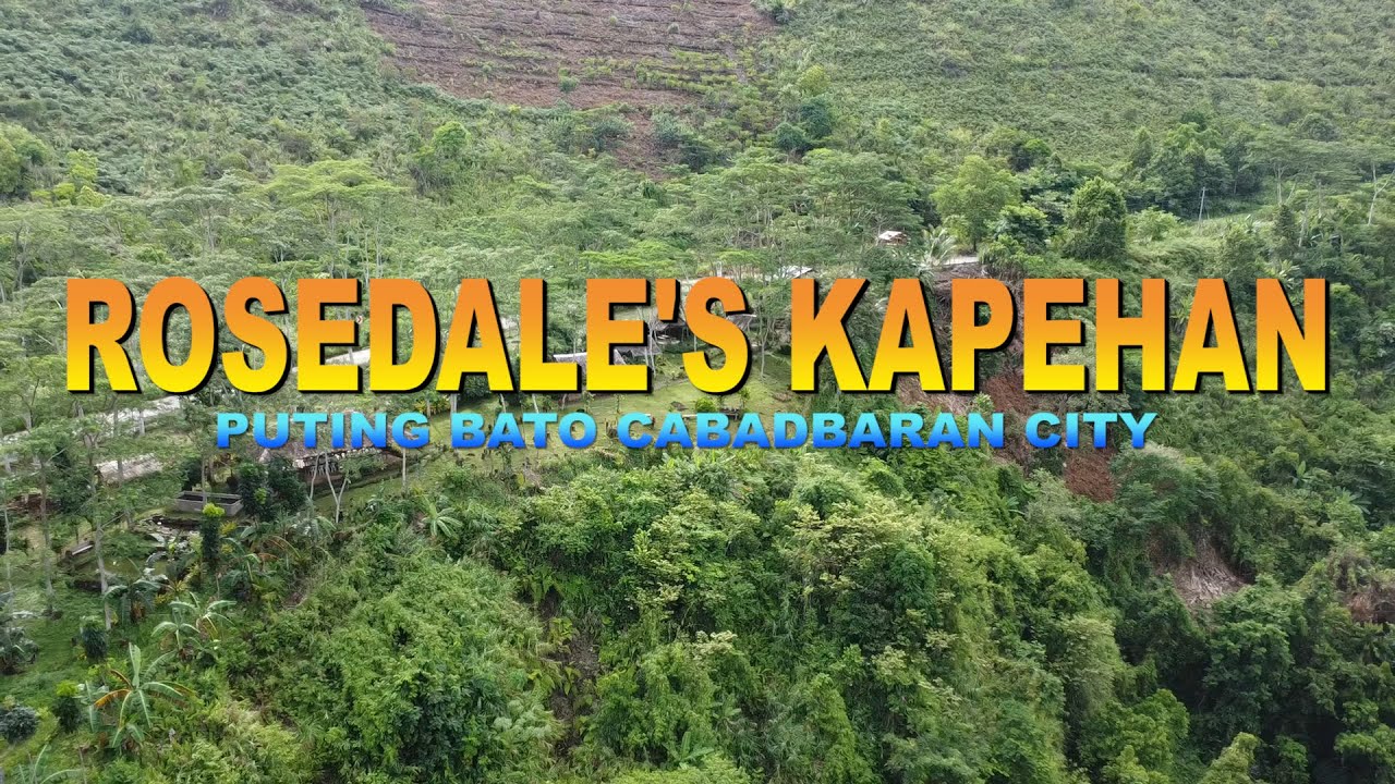ROSEDALE'S KAPEHAN |  PUTING BATO | CABADBARAN CITY