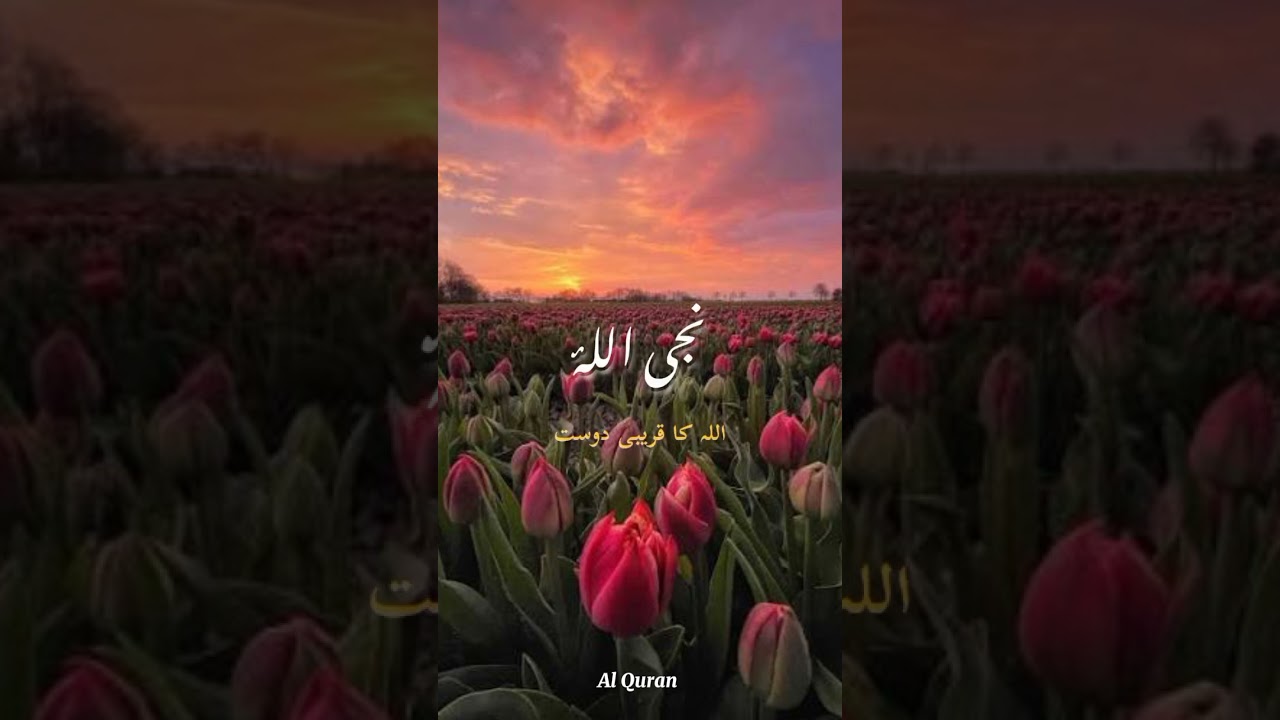 اسمائے النبی صلی اللّٰہ علیہ وسلم 