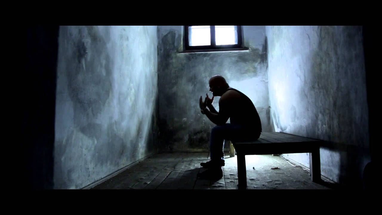 David Steel - Cela 430 (Official trailer)