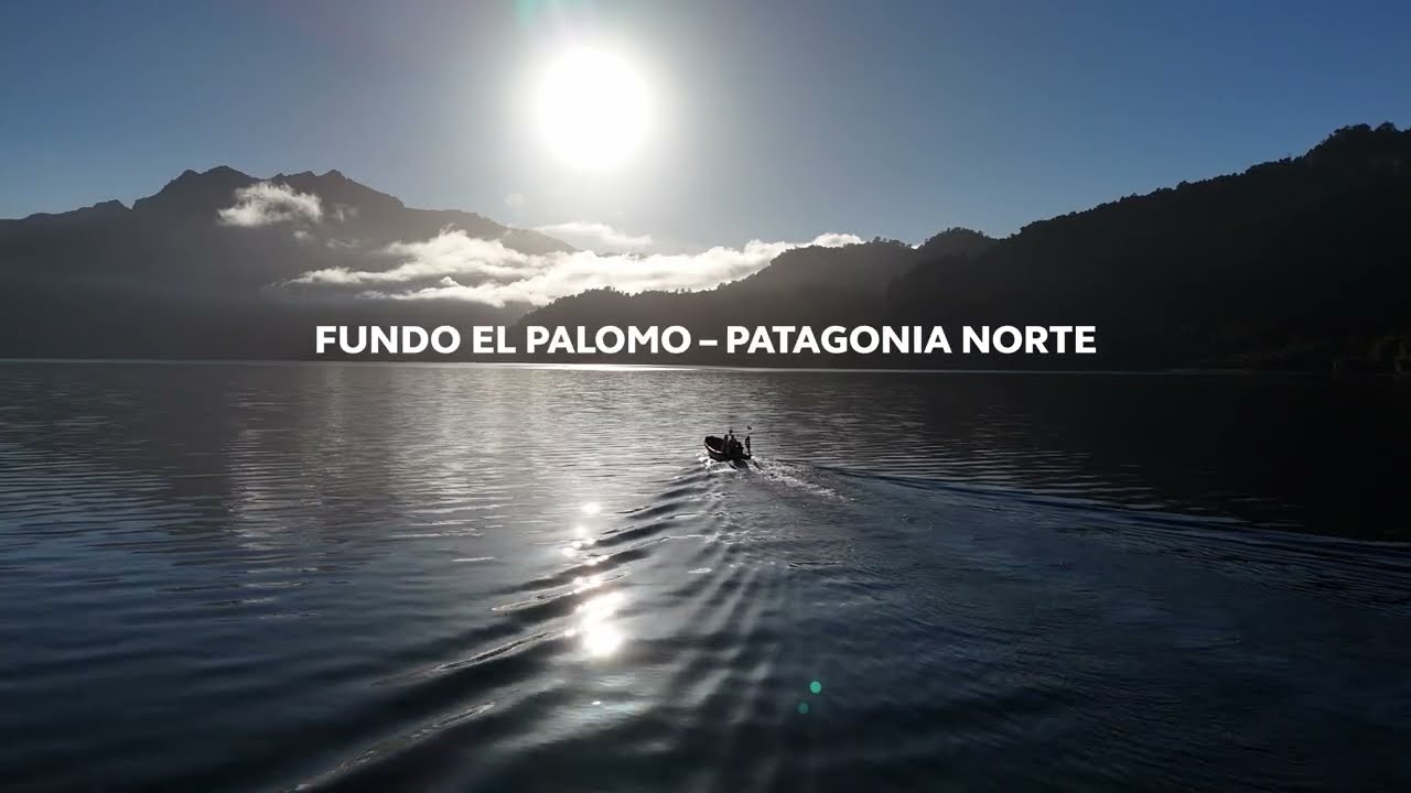 EL PALOMO