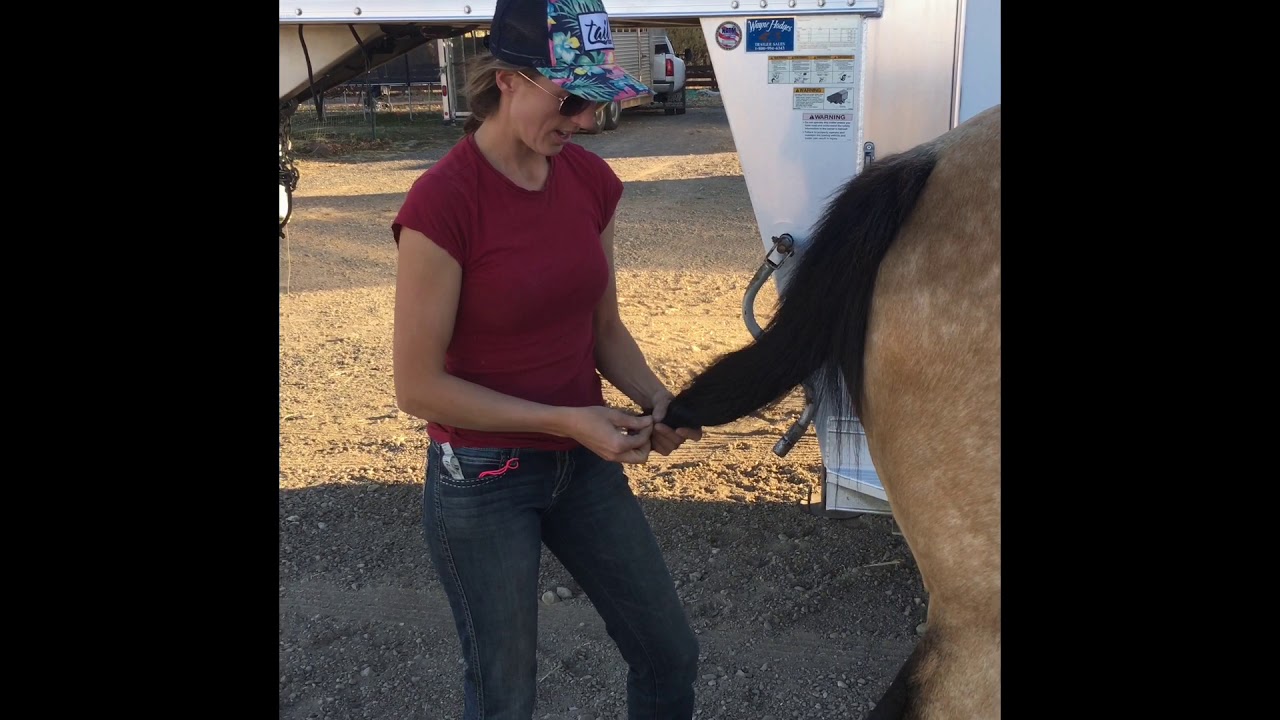 Tail Boot 2nd Generation Tail Bag for Horses - How to Apply