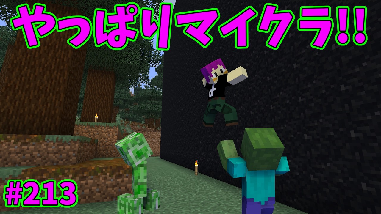 【マインクラフト】サバゲー場の壁張りが思っていた以上に大変でしたｗ【やっぱりマイクラ!! #213】