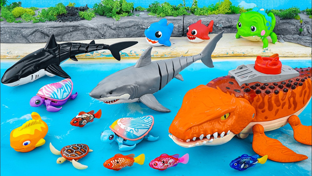 [Toy asmr] RC Dolphin &Mosasaurus & Nimo Fish & Turtle &Alive Aquarium ASMR Satisfying with Unboxing