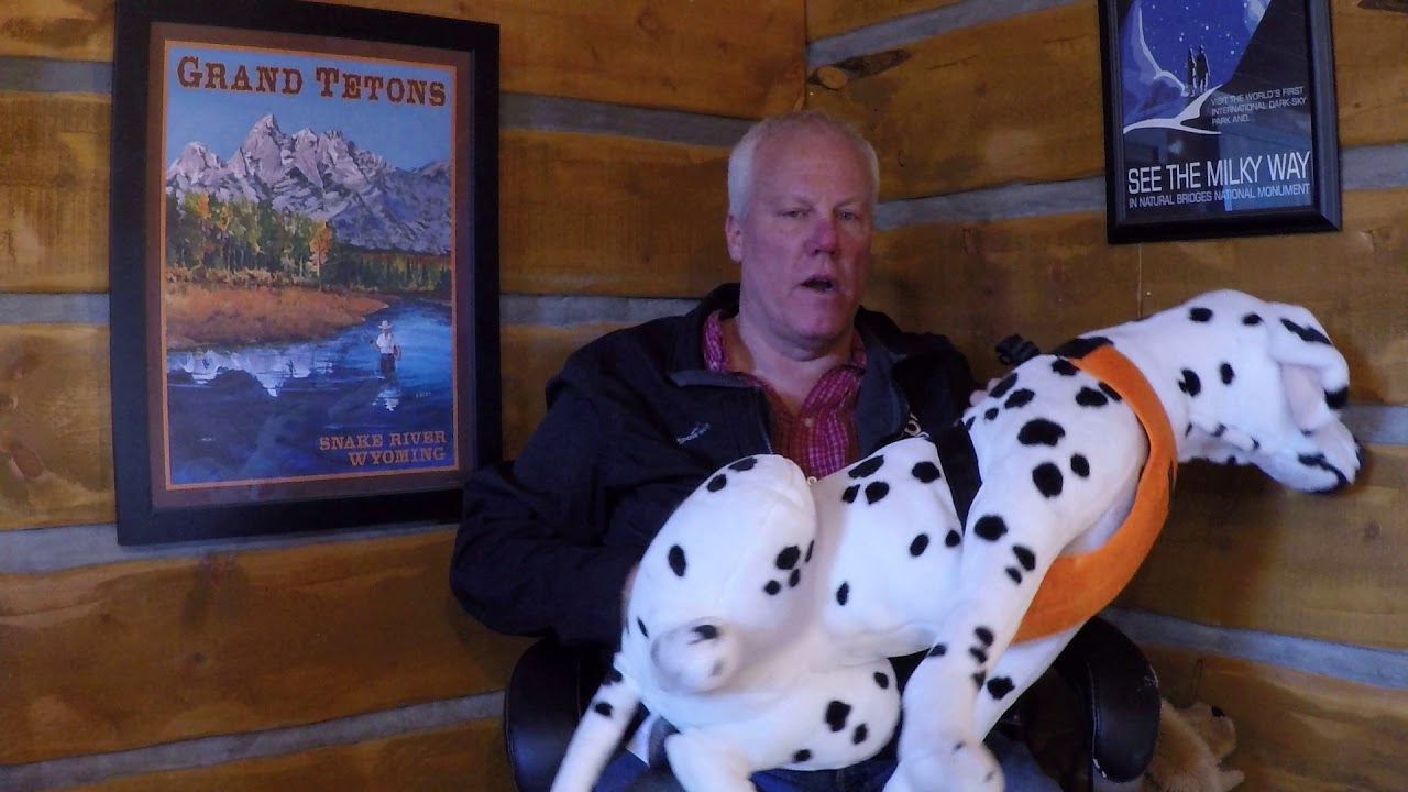 Comparing a travel harness to a Big Dog Seat Belt.