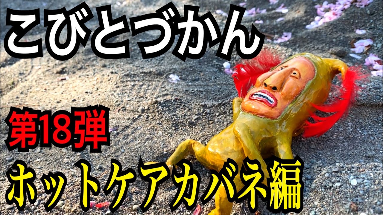 【こびとづかん】ホトケアカバネ見つけるまで帰れま10！！