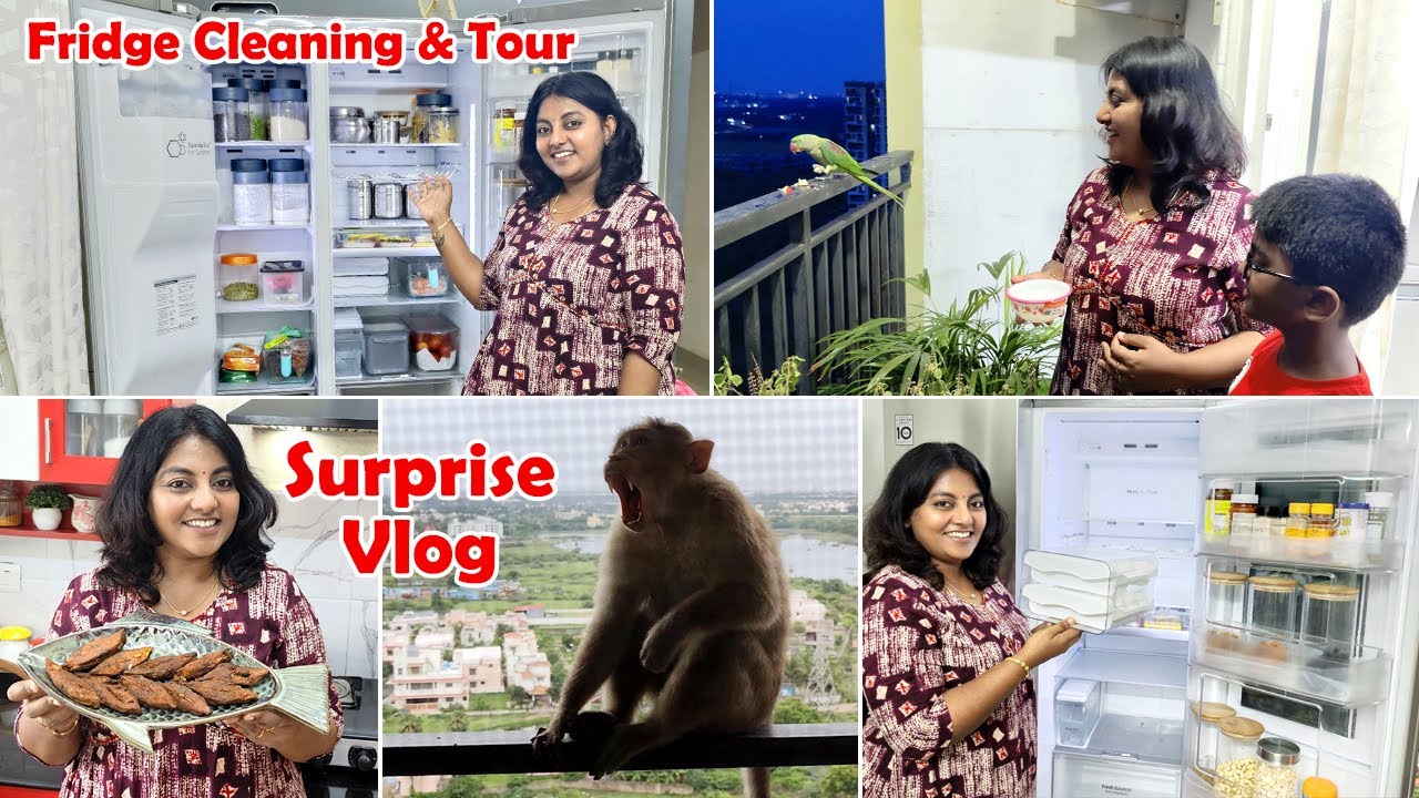Vlog - Fridge Cleaning Tips & Organization | வீட்ல சேர்க்கலாமா வேணாமா ? | Karthikha Channel Vlog