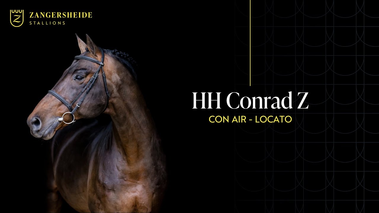 HH Conrad Z - Présentation des étalons 2025 FR