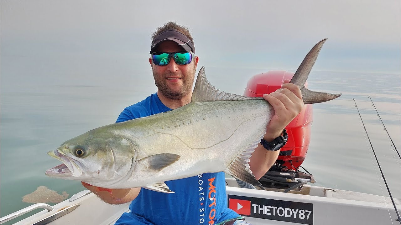 Leccia Amia Spinning Popper in un mare Forza Zero