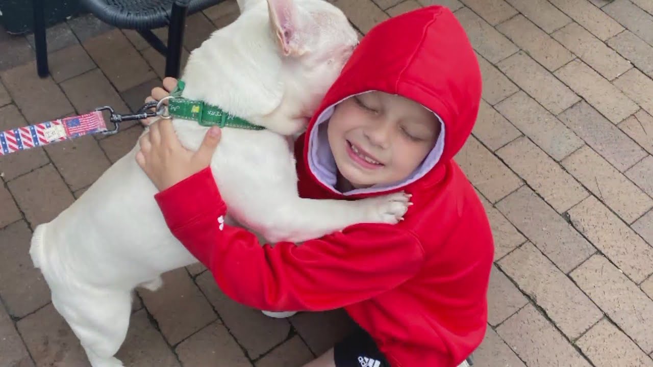8-year-old boy awake, upgraded to serious condition after Highland Park 4th of July shooting
