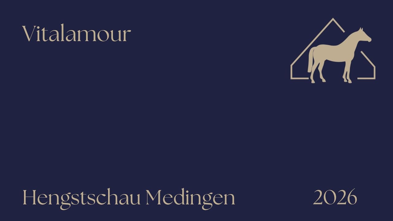 Hengstschau 2026 Vitalamour