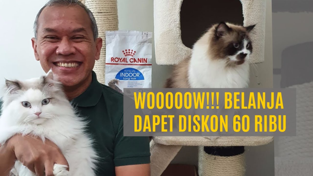 Makanan Kucing Royal Canin | Beli Online jadi Mudah