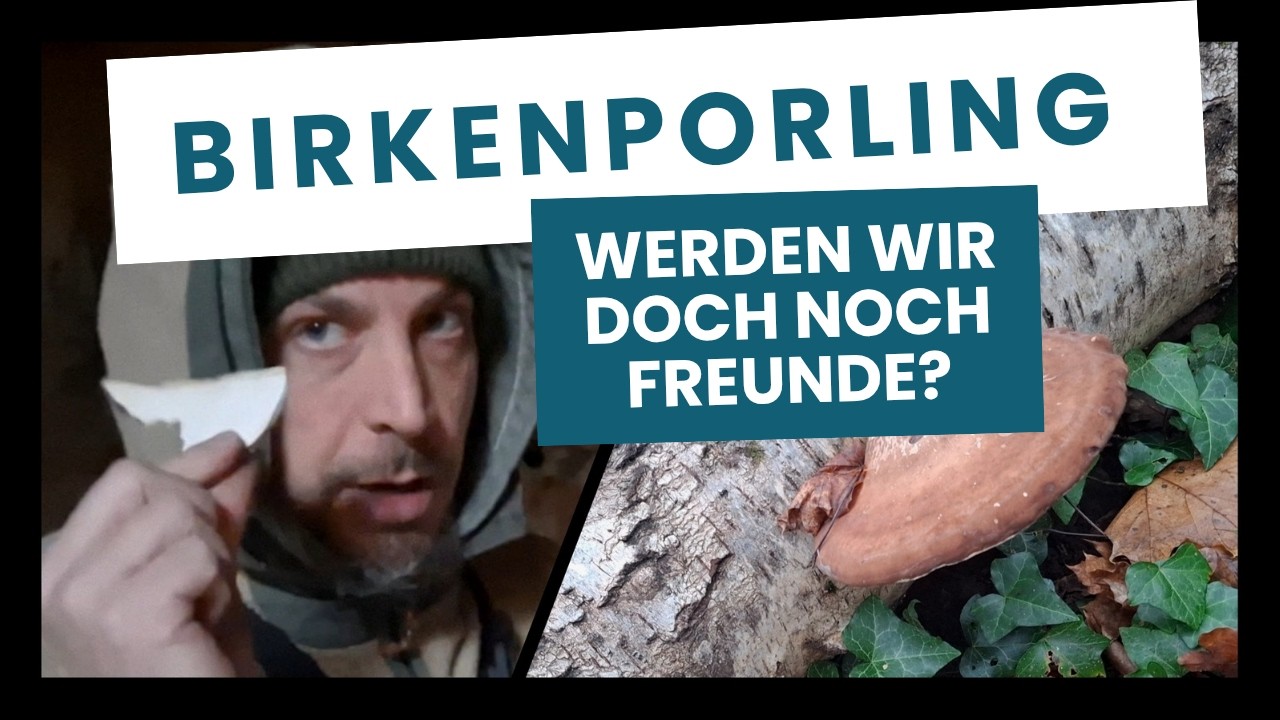 Birkenporling 🍄🔥 - werden wir doch noch Freunde?