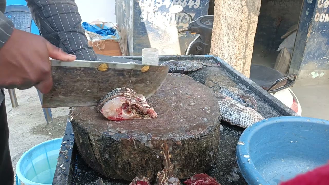 Tilakiya fish jilebi 