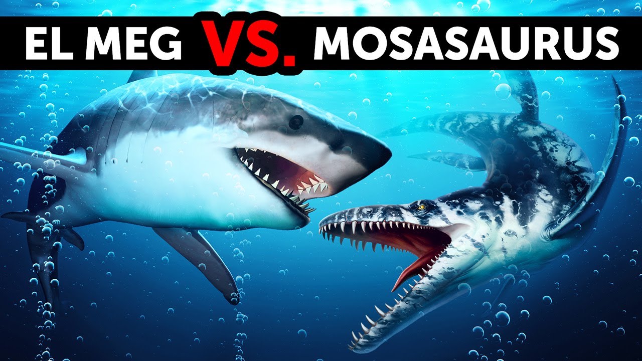 Qué pasaría si el megalodón se encontrara con el dinosaurio marino gigante, el “Mosasaurus”