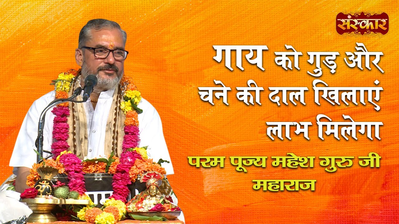 गाय को गुड़ और चने की दाल खिलाएं, लाभ मिलेगा | जानिए परम पूज्य महेश गुरु जी से | Pujya Mahesh Guru Ji