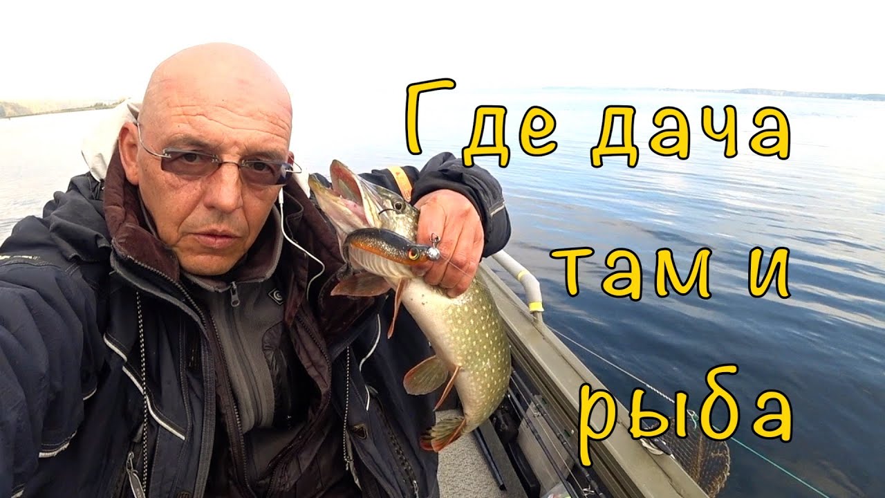 ЩУКА рядом с ДОМОМ. И не надо никуда ездить.
