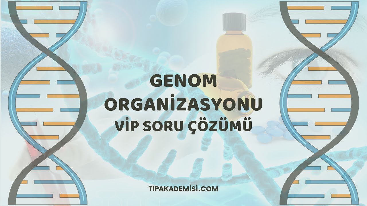 tipakademisi.com Biyokimya Paketi Genom Organizasyonu VIP Soru Çözümü