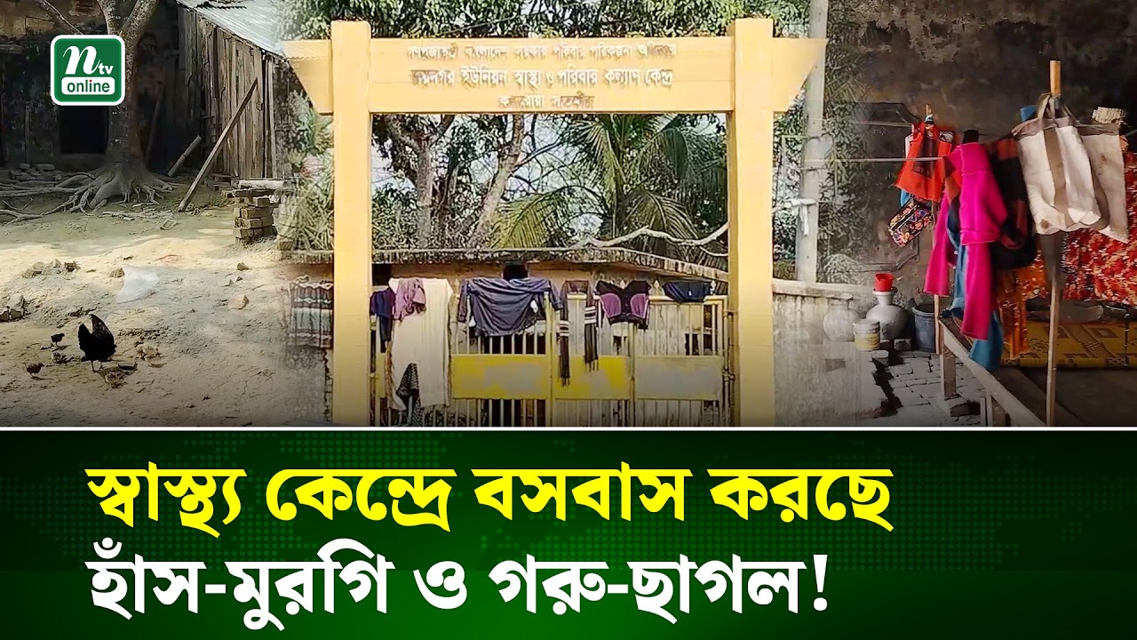 সাতক্ষীরার স্বাস্থ্য কেন্দ্রে বসবাস করছে হাঁস-মুরগি ও গরু-ছাগলসহ একটি পরিবার । NTV News