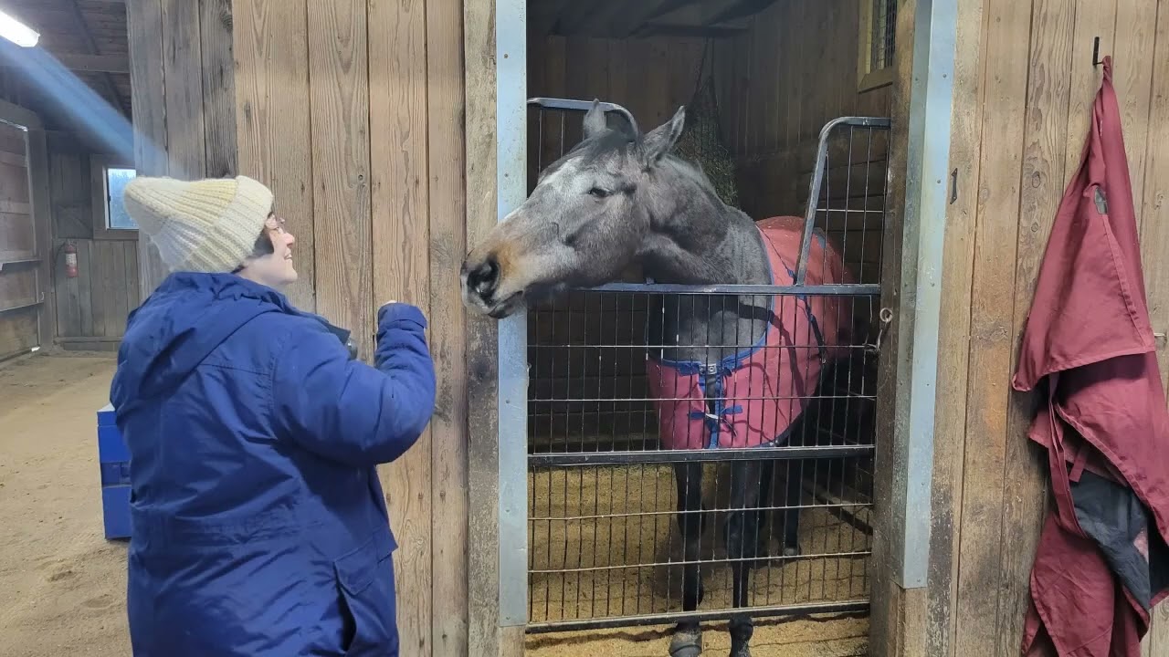 Middleburg January 2026