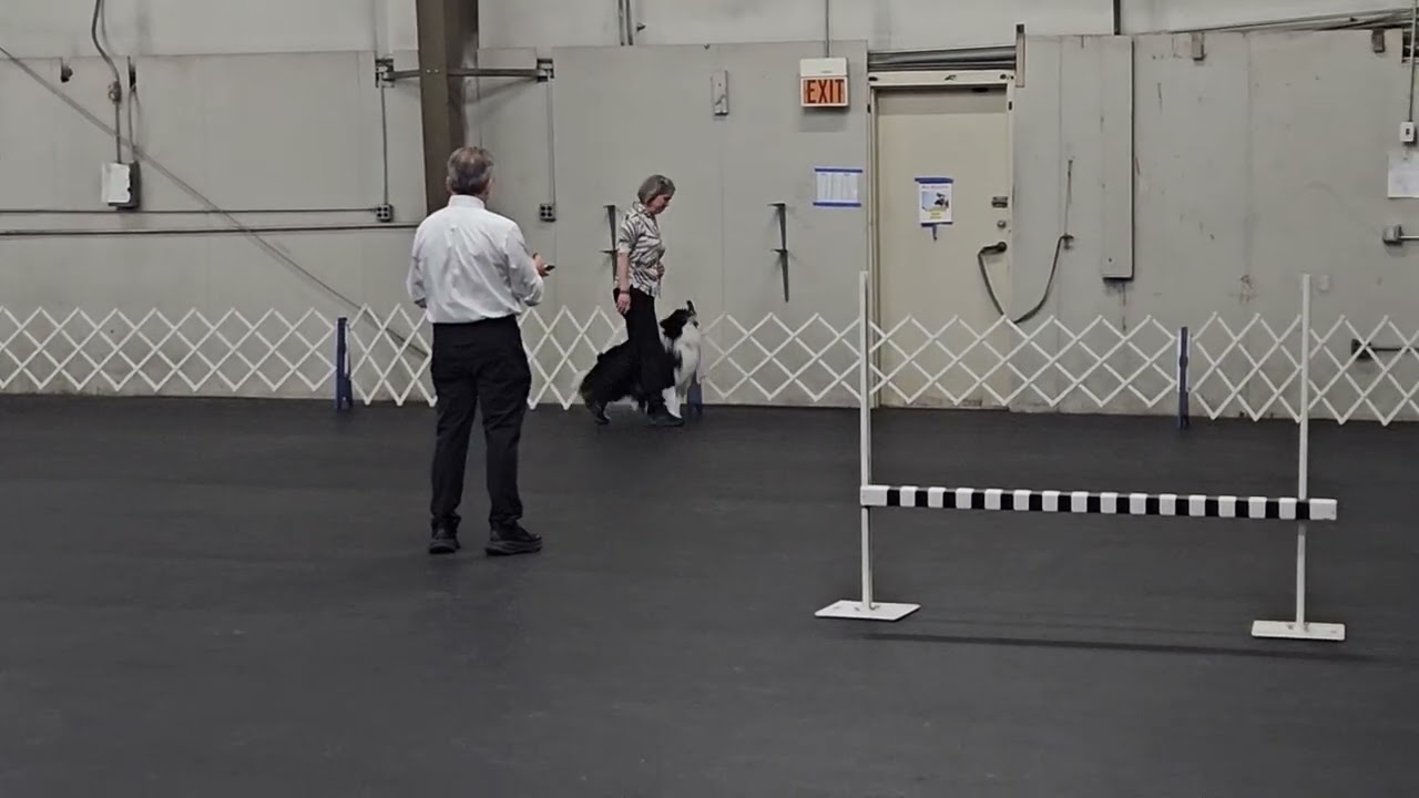 Quinn heeling Utility AOC Sunday March 8, 2026