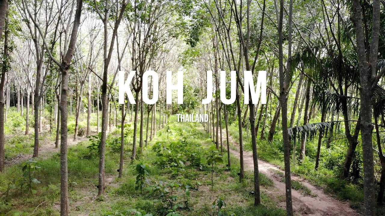 ENDLICH GEHT ES LOS! - Heute erkundigen wir die Insel Koh Jum in Thailand
