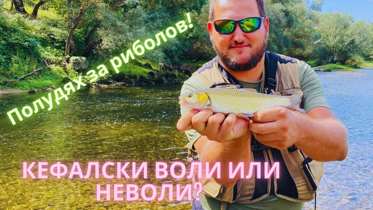 КЕФАЛСКИ риболов CHUB FISHING