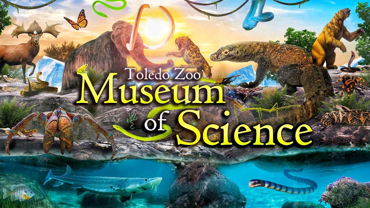 Zoo Tours: Toledo Zoo's Museum of Science