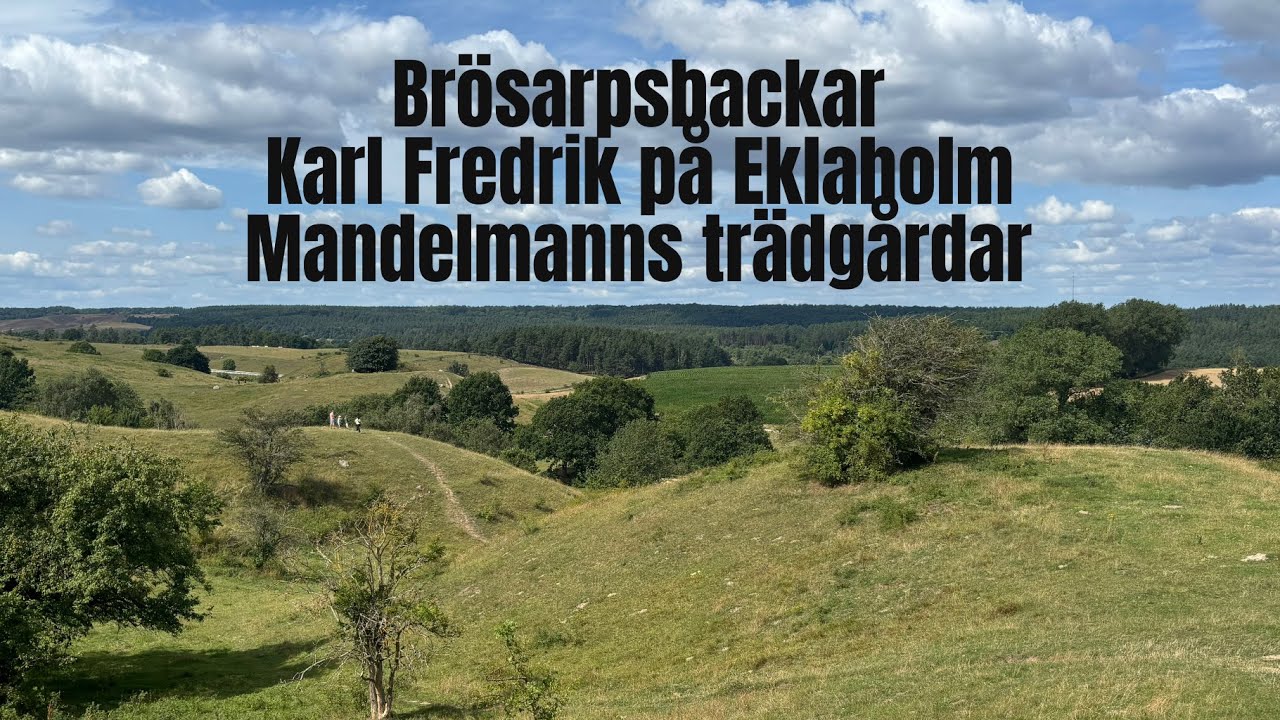 Österlen