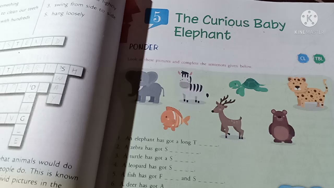Question Answer of the curious baby elephant