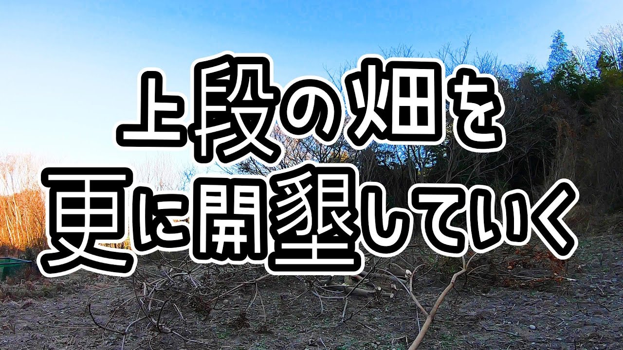 上段の畑(の更に奥)の整地を始めます