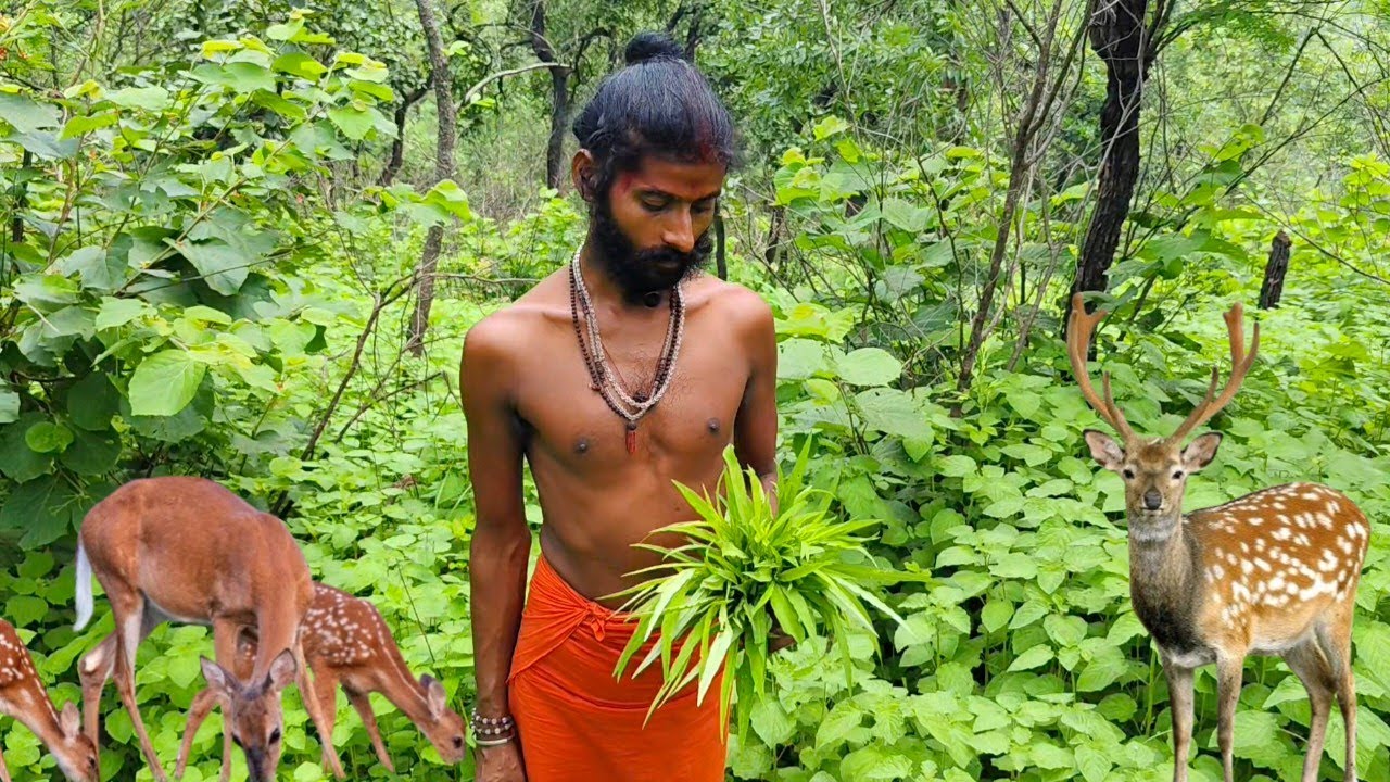 चित्रकूट के घने जंगल में एक बाल वैरागी संत एक पैर से खड़े होकर तपस्या करते हैं कंदमूल फल खा के