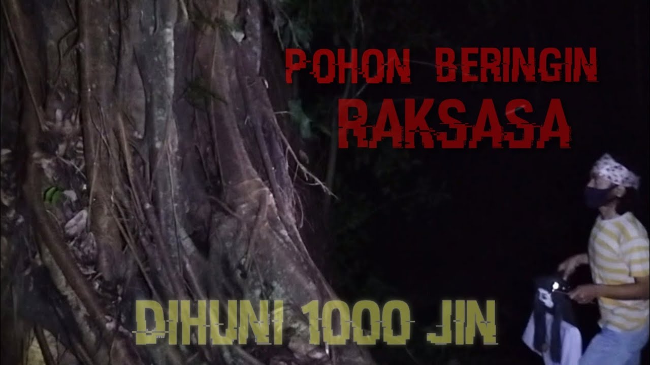 MISTERI || BURUNG KEBLEK