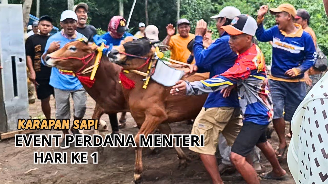 GRT PUSAT RAMAIKAN EVENT KARAPAN SAPI HUT PERDANA MENTERI
