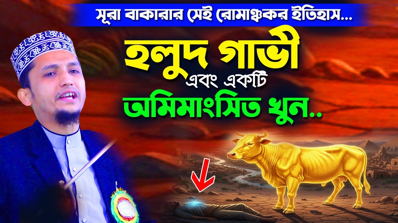 কেন এই সূরার নাম বাকারা বা গাভী? জানুন বনী ইসরাঈলের সেই রোমাঞ্চকর ইতিহাস !! Sayed Iqbal Habibi