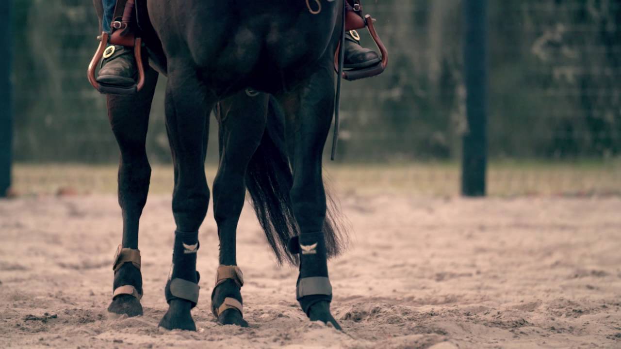 LEGEND® (hyaluronate sodium) for Horses: Protect the Dream