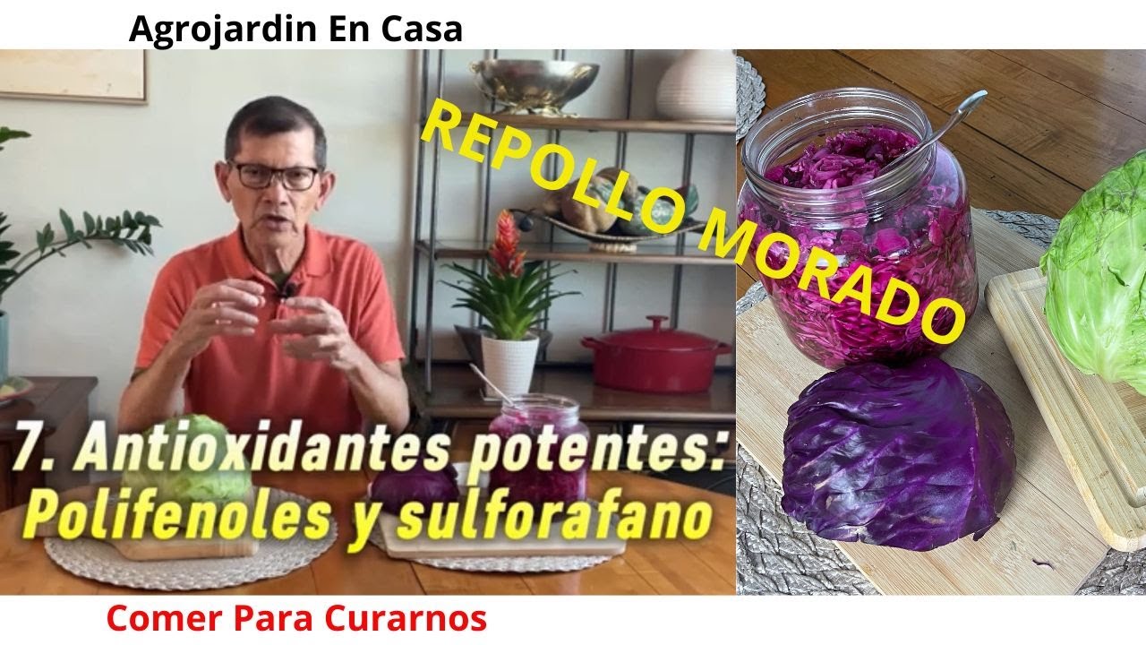 REPOLLO MORADO : Beneficios , Nutrientes y Antioxidantes poderosos.