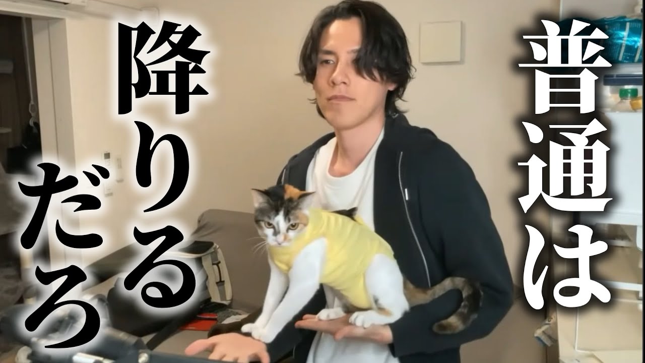 絶対に降りない居候ネッコＶＳ絶対に降ろしたい家主