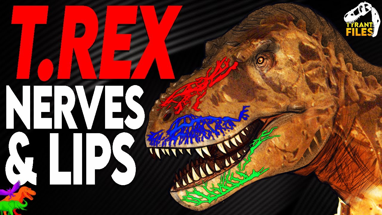 T. rex Nasal Nerves Are Really Funky Dino Sensors + New Lip Evidence? | Tyrant Files